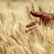 Image for article titled African farmers say they can feed the world, and we might soon need them to